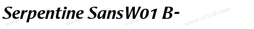 Serpentine SansW01 B字体转换